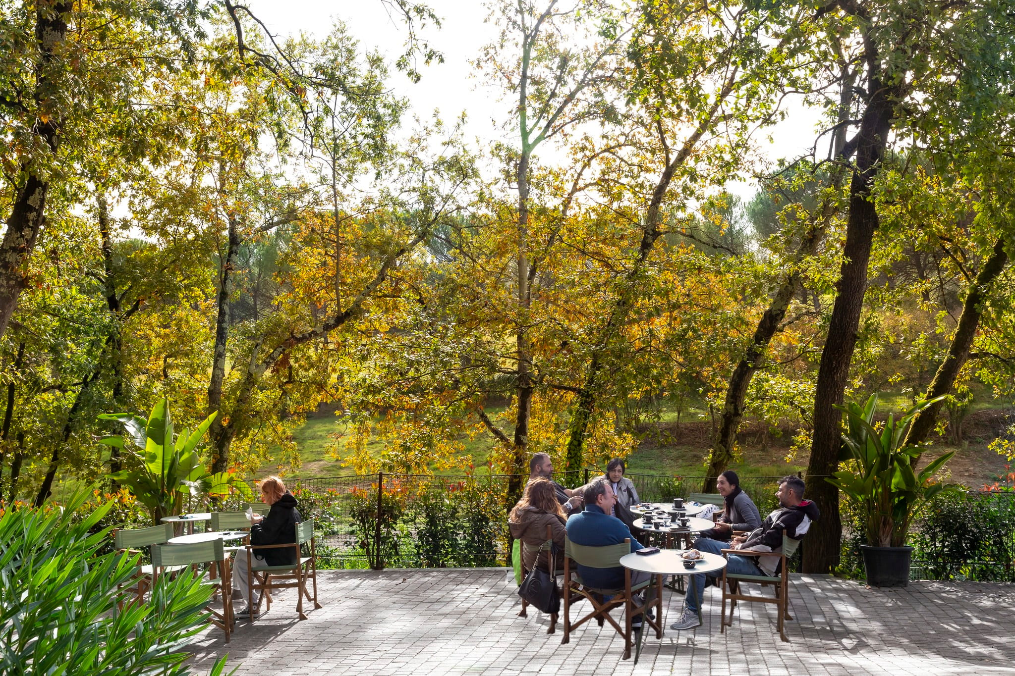 Camping Certosa restaurant