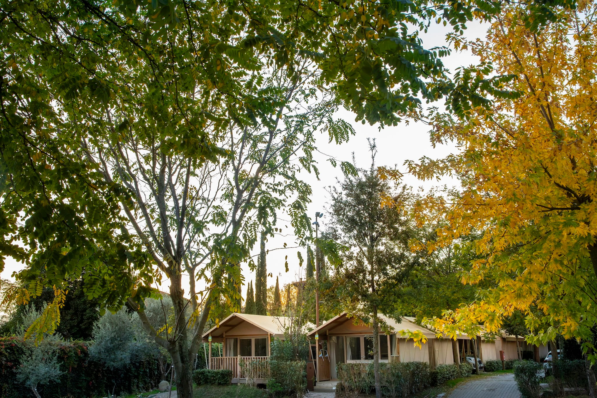 Alloggi nel verde in autunno allo hu firenze camping in town